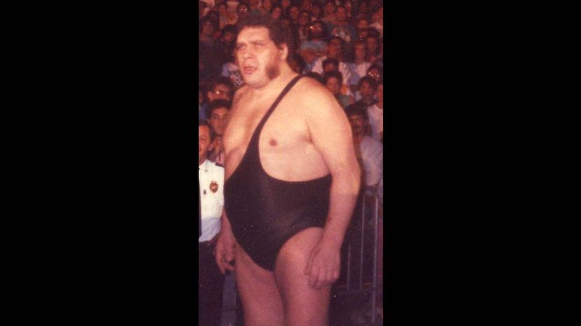 2 Andre the Giant