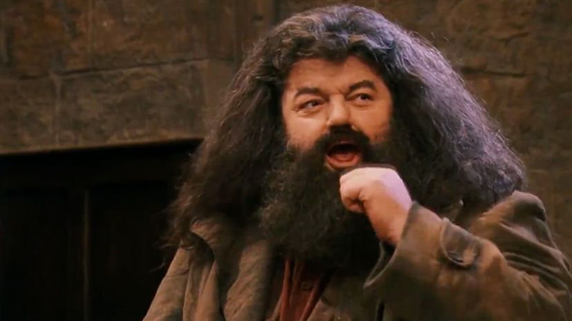 27-Hagrid