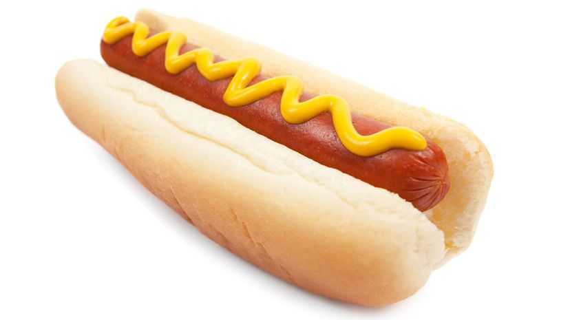 Hotdog with Mustard