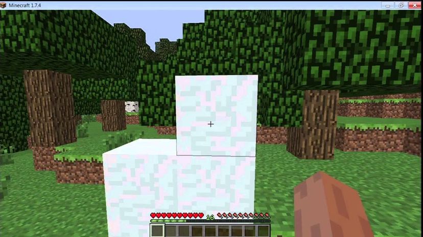 Snow Block Minecraft