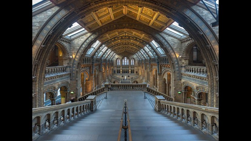 Natural_History_Museum