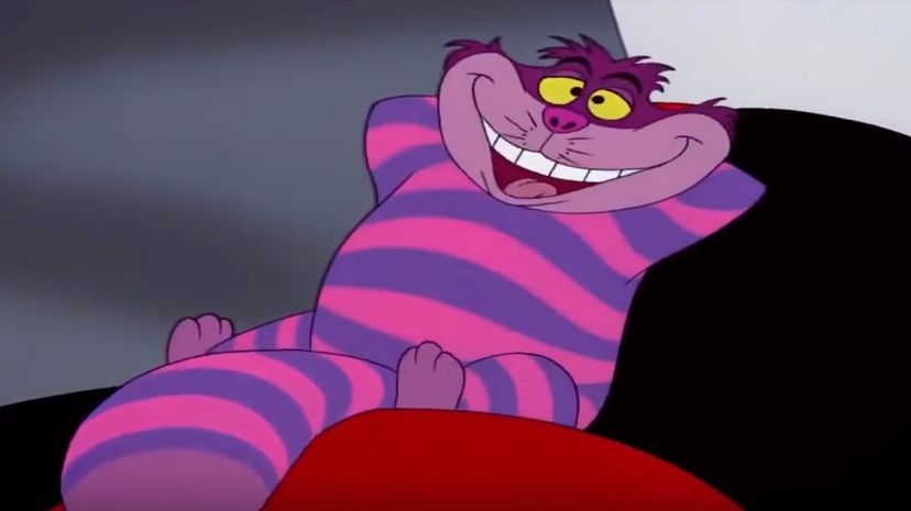 Cheshire Cat