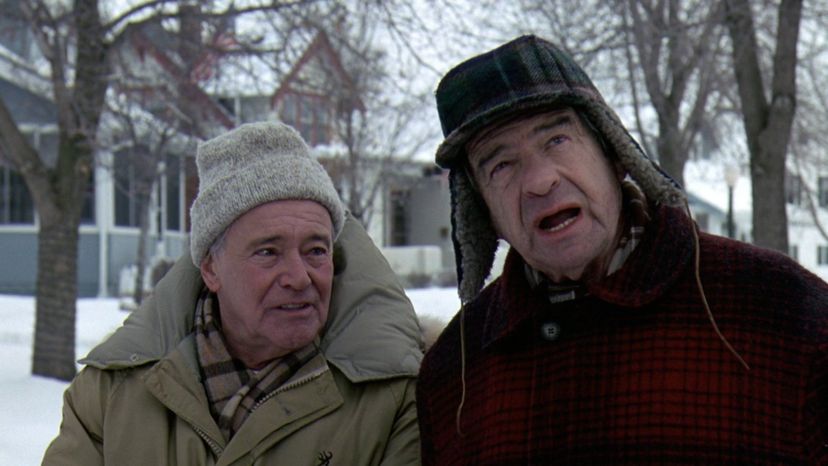 Grumpy Old Men (1993)