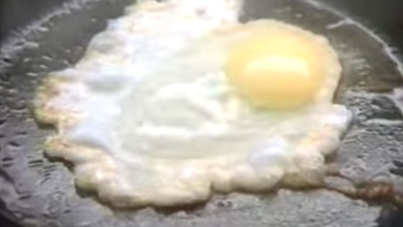 Nothing &quot;Fried Egg&quot; The Partnership for a Drug-Free America