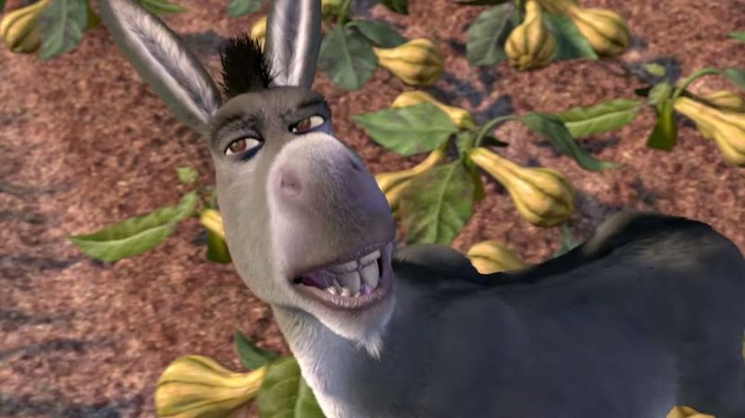 5 - Donkey Shrek