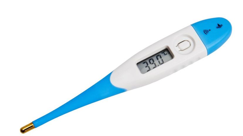 Clinical Digital Thermometer