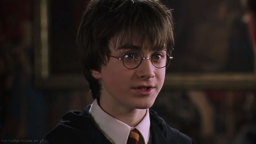 Harry Potter (Daniel Radcliffe)