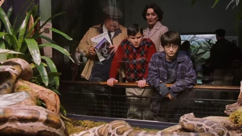 5 Harry Potter at the zoo