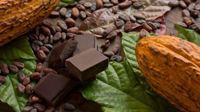 Cocoa composition