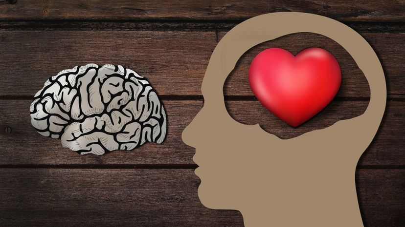 Are You Right Brained or Left Brained in Love?