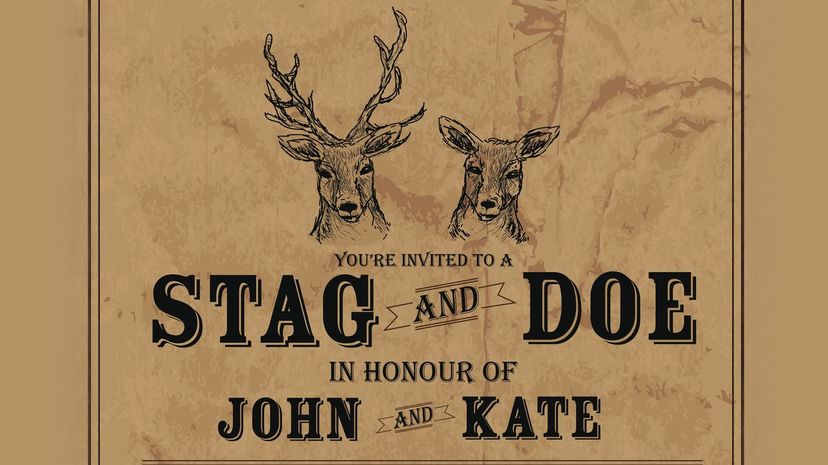 Stag and doe party