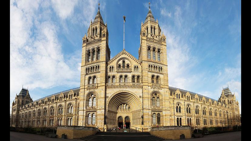 National History Museum London