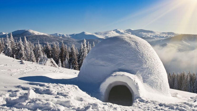 Igloo