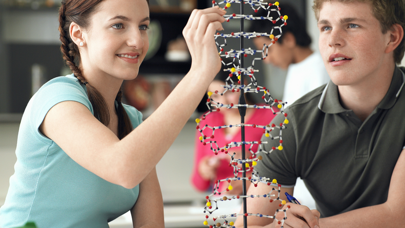 Could You Still Pass Your High School Biology Class?