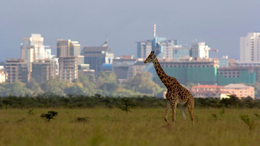 Question 9 - Nairobi