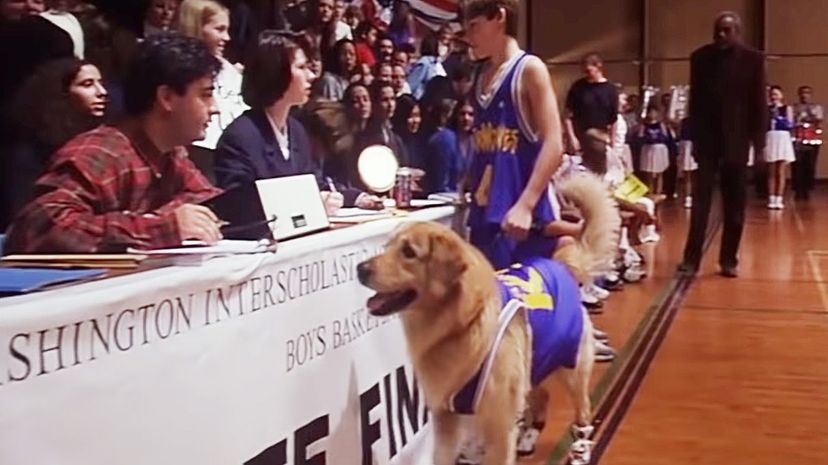 Air Bud