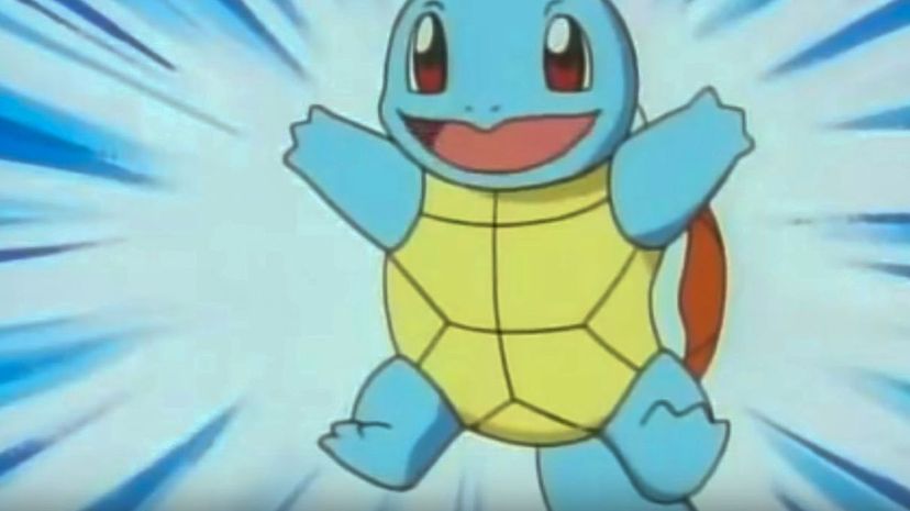 6-Squirtle