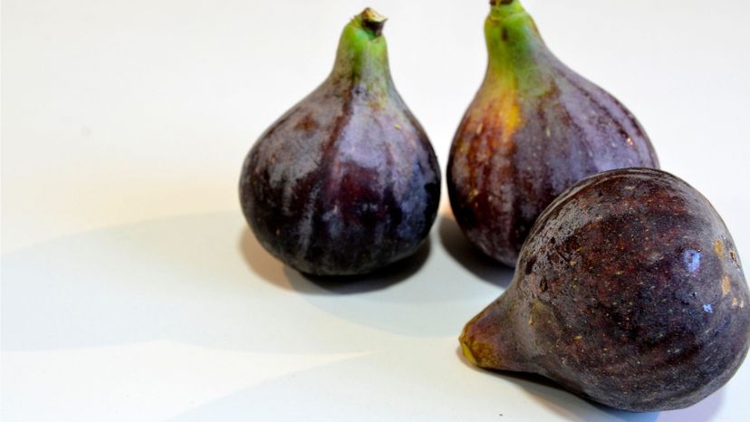 Fig