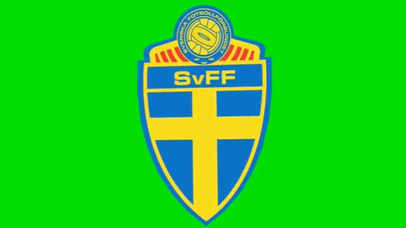 Sweden National Football Team