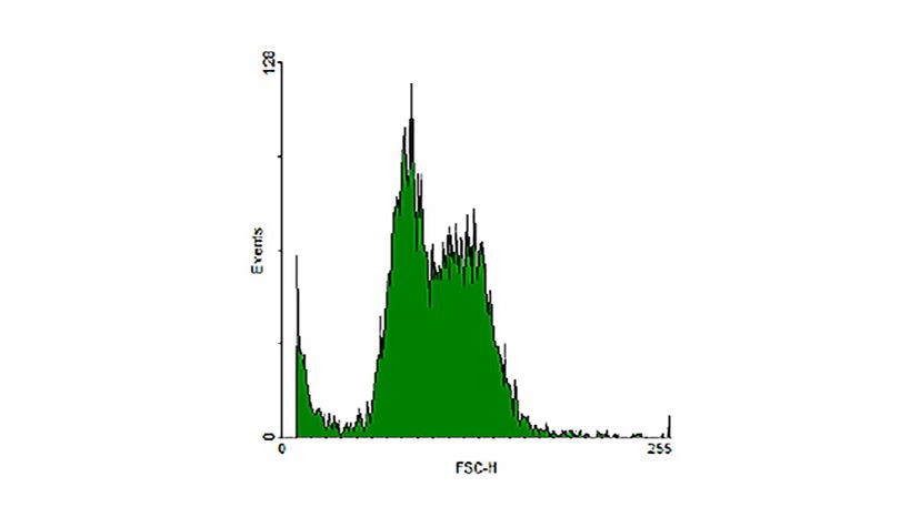 Histogram