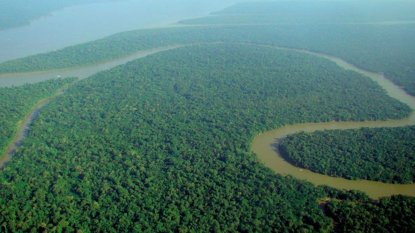 Q 18 Aerial view of Amazon Rainforest