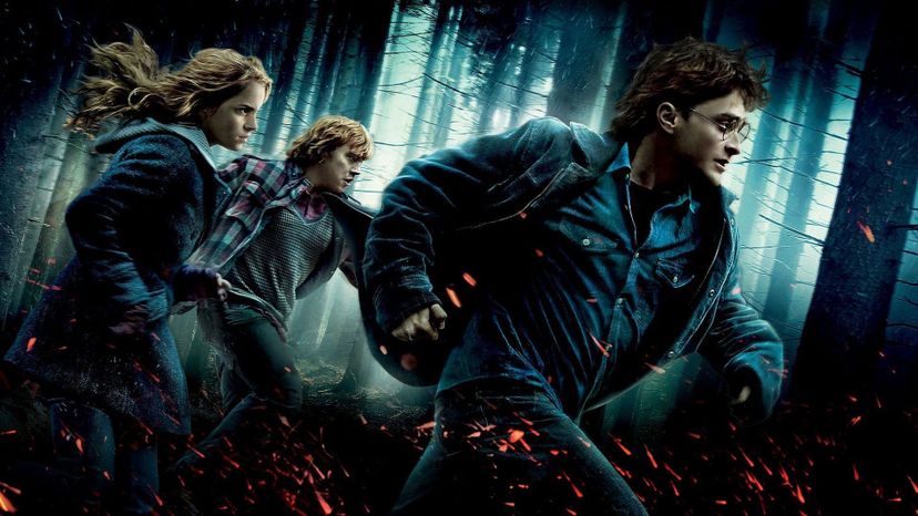 "Harry Potter and the Deathly Hallows - Part 1": Who Said It?