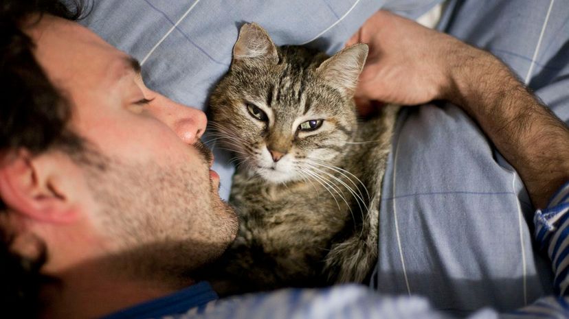 Young man sleeping with cat