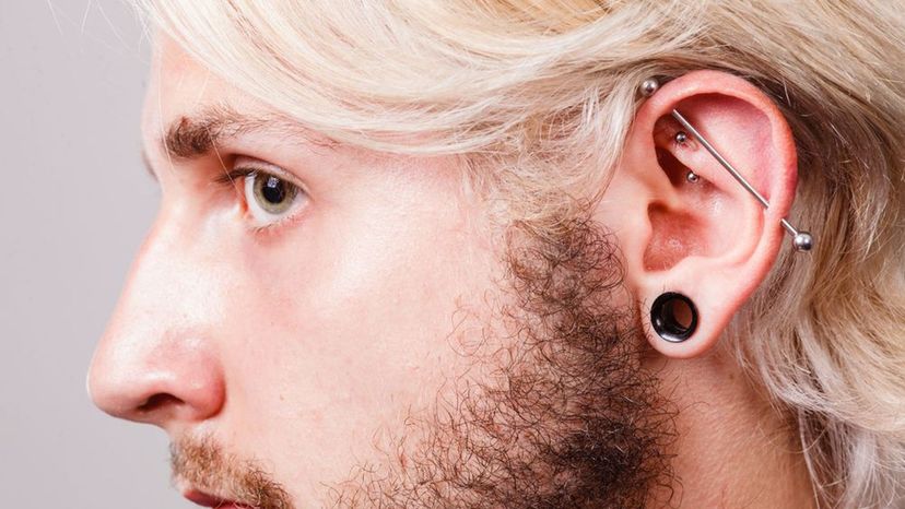 Where Should Your Next Piercing Be?