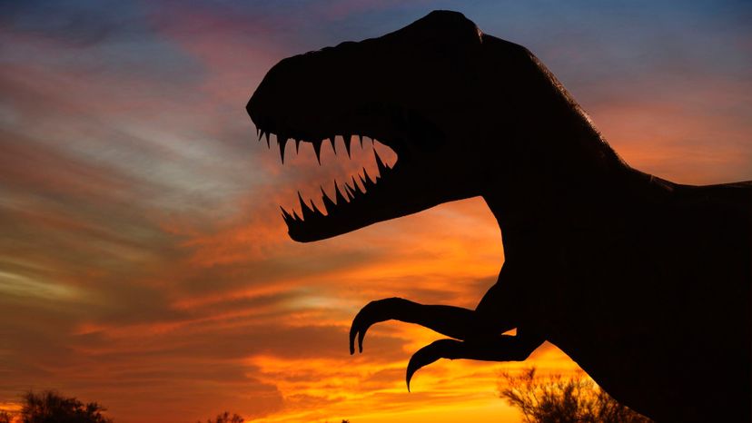 What Species of Dinosaur Are You?