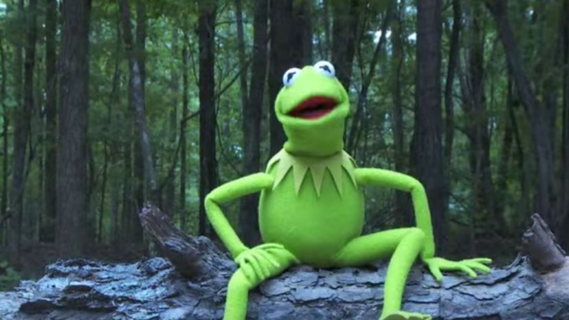 Kermit the Frog