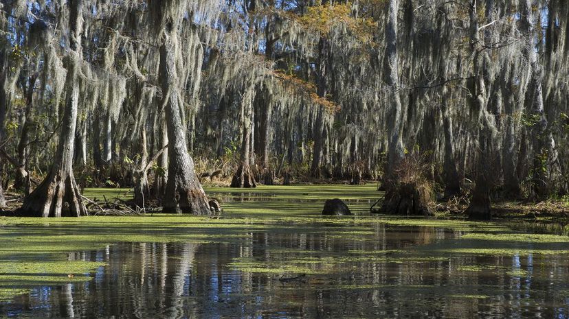 Louisiana