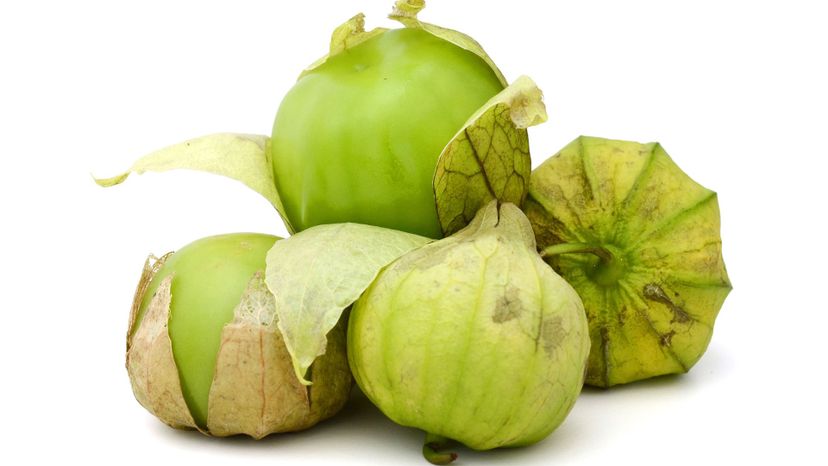 Tomatillo