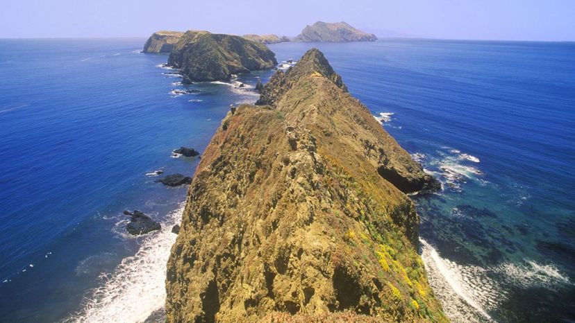 Channel Islands