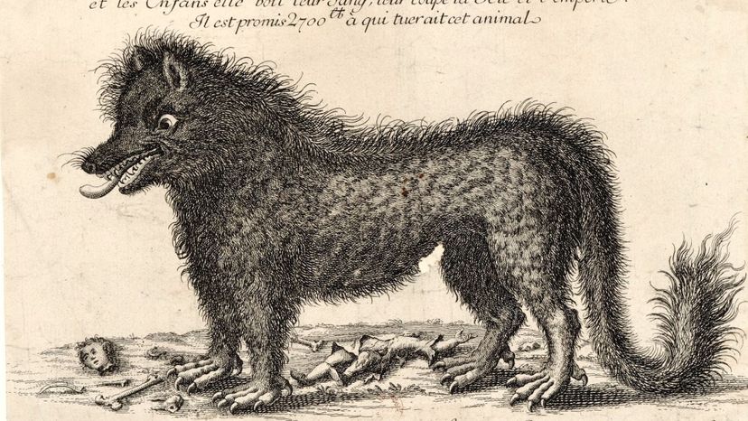 Beast of Gvaudan