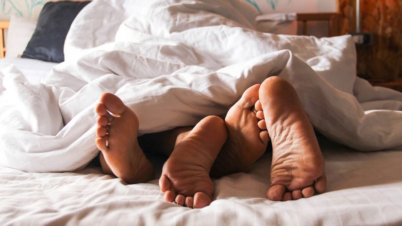 We Can Guess How Many People You've Slept With!