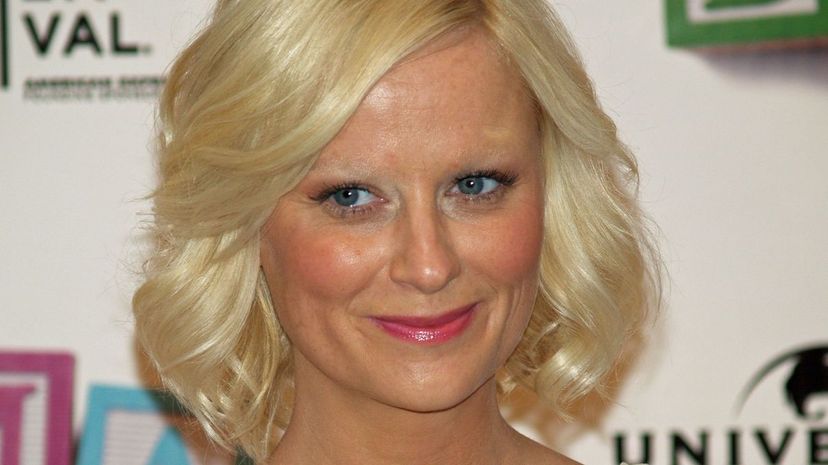 Amy Poehler