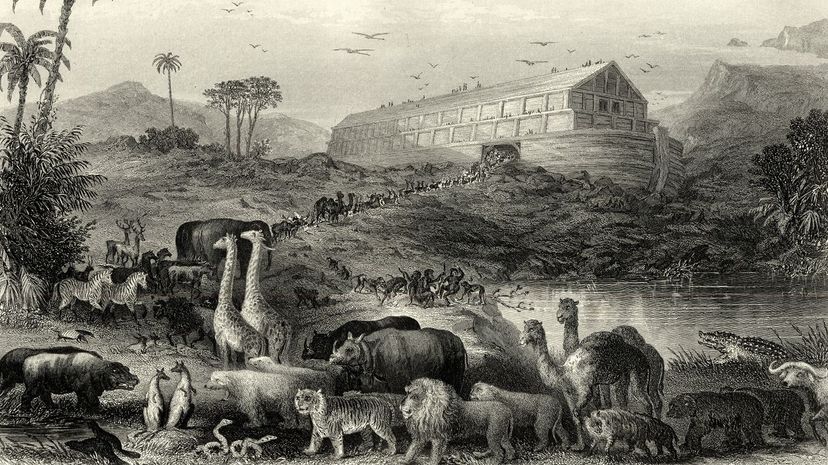 Noah's ark flood