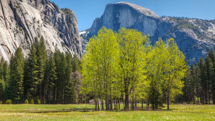 Half Dome towers over Yosemite Valley, California