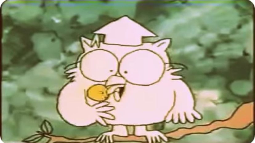 Mr. Owl - Tootsie Roll Pops