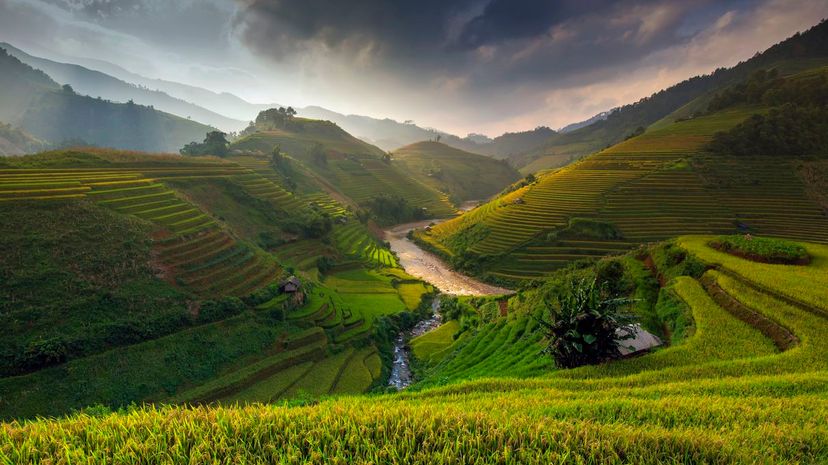 Mu Cang Chai
