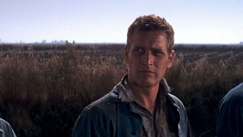 Cool Hand Luke