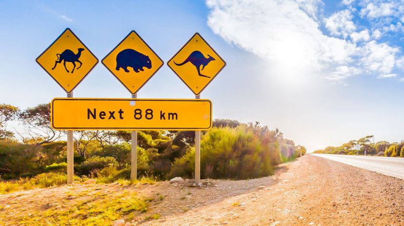 How Well Do You Know Australian Rules of the Road?