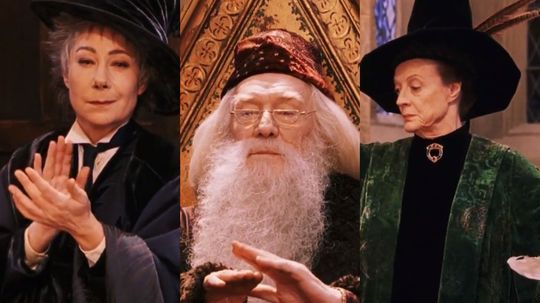 Which Hogwarts Professor Matches Your Personality?