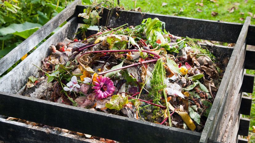 Compost Bin