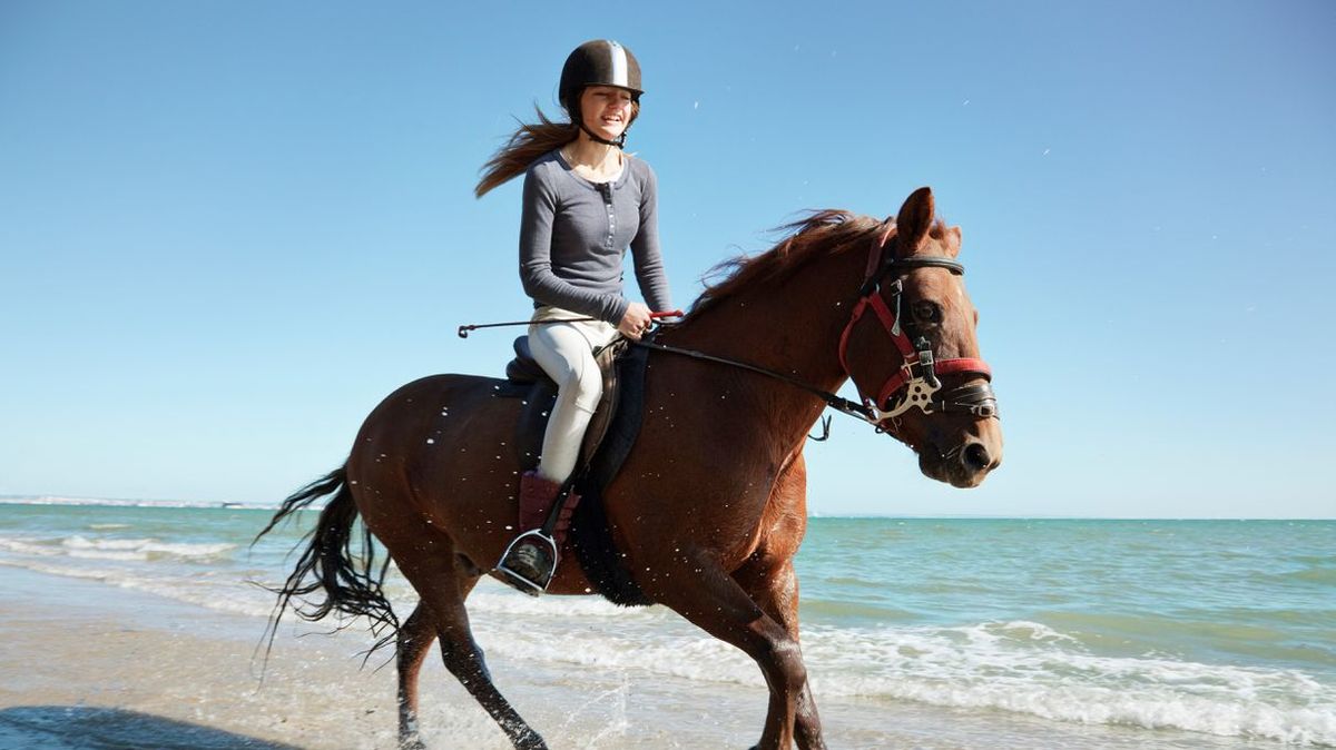 Banner Street advertising horseback riding