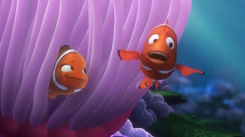 Nemo's Mom and Dad