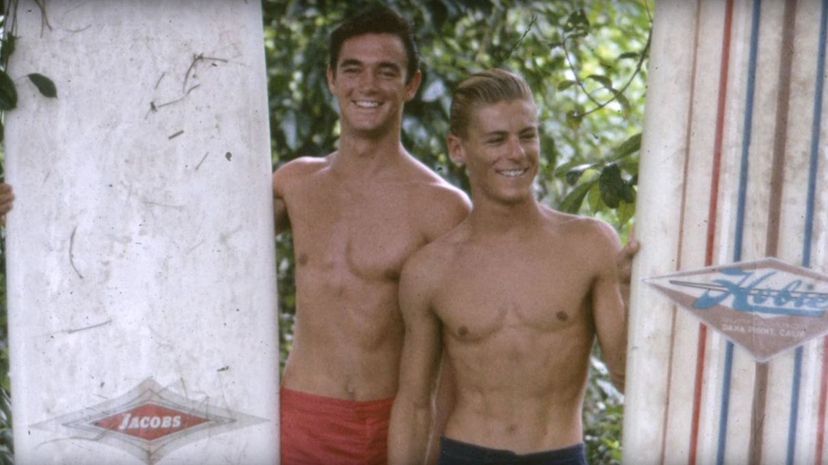 Question 36 - Endless Summer