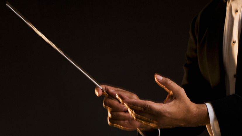 Orchestra Conductor