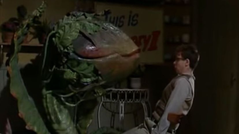 20 Little Shop of Horrors