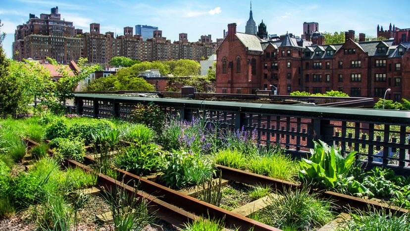 The High Line